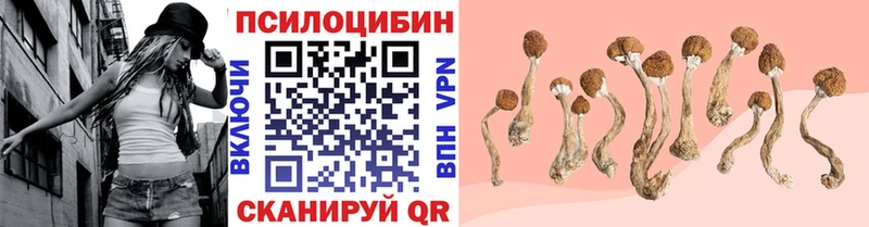 Псилоцибиновые грибы Cubensis Чердынь